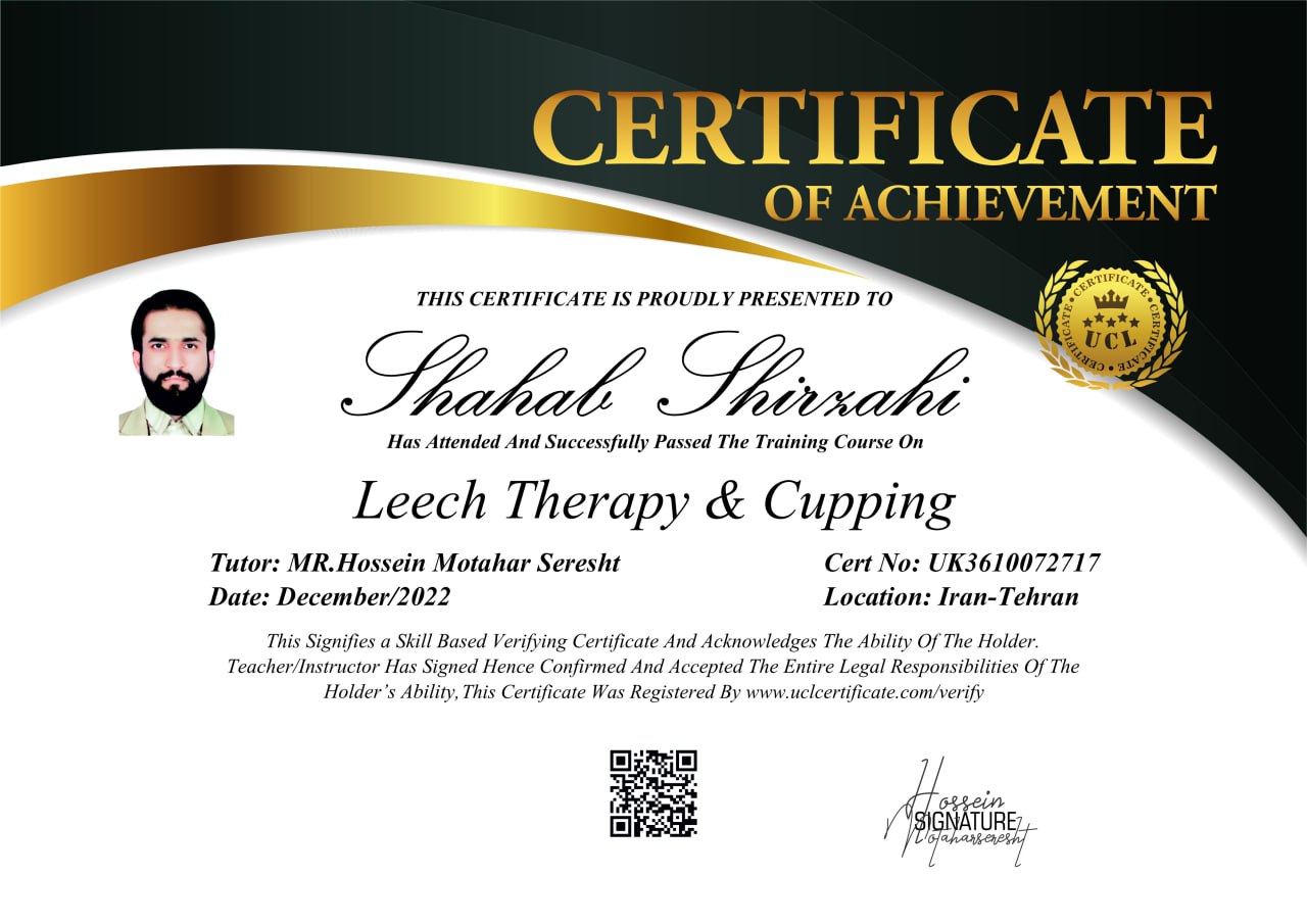 Shahab Shirzahi Certificate